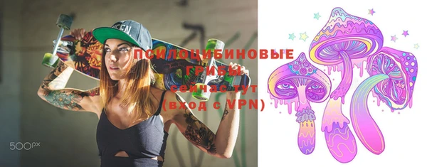 винт Бронницы