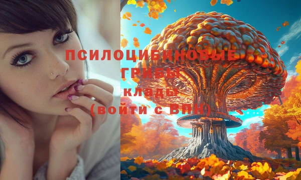 кокаин премиум Богданович