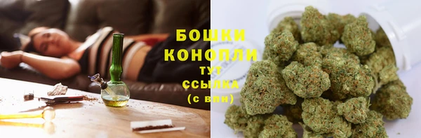 spice Богородицк