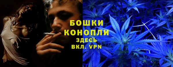 дживик Богородск