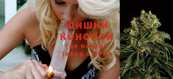 шишки Бугульма