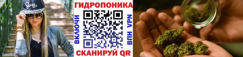 маркетплейс официальный сайт  Котлас  Бошки Шишки Bruce Banner  закладки 